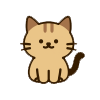 펫 등록 아이콘