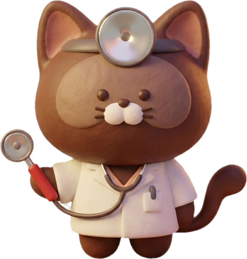체박사