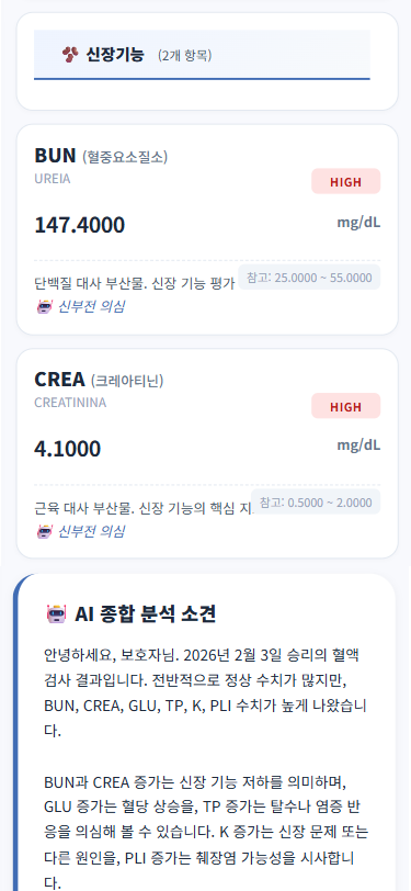 AI 분석 리포트
